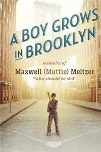 A Boy Grows in Brooklyn