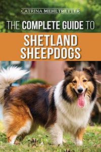 The Complete Guide to Shetland Sheepdogs