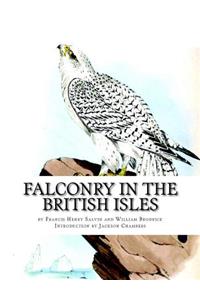 Falconry in the British Isles