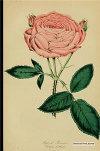 Botanical Print Journal