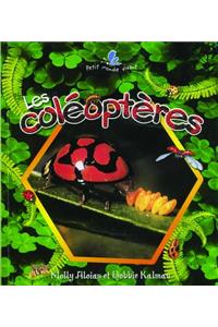 Coleopteres