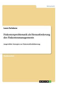 Fixkostenproblematik als Herausforderung des Fixkostenmanagements