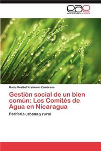 Gestion Social de Un Bien Comun