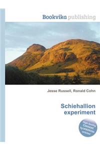 Schiehallion Experiment