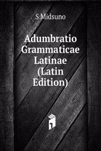 Adumbratio Grammaticae Latinae (Latin Edition)