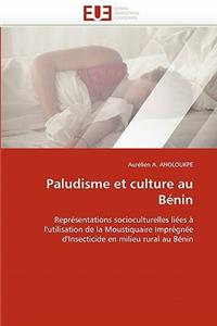 Paludisme Et Culture Au B�nin