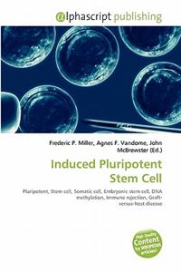 Induced Pluripotent Stem Cell