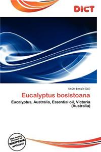 Eucalyptus Bosistoana