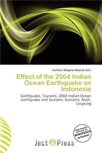 Effect of the 2004 Indian Ocean Earthquake on Indonesia
