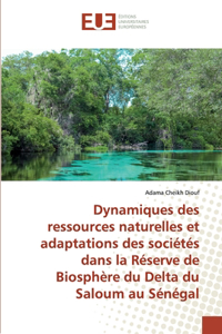 Dynamiques des ressources naturelles et adaptations des sociétés dans la Réserve de Biosphère du Delta du Saloum au Sénégal