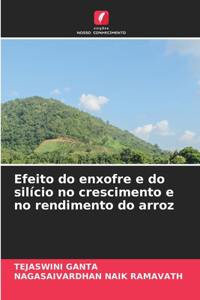 Efeito do enxofre e do silício no crescimento e no rendimento do arroz