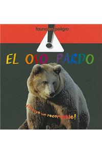 El Oso Pardo [With Cutouts Cards] = Brown Bear