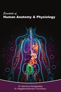 Essentials of Human Anatomy & Physiology