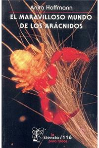 El Maravilloso Mundo De Los Aracnidos