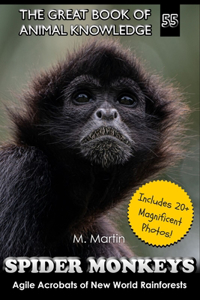 Spider Monkeys