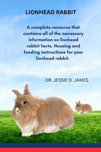 Lionhead Rabbit