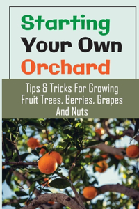 Starting Your Own Orchard