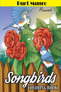 Burt Munro Presents Song Birds Coloring Book