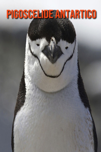 Pigoscelide antartico