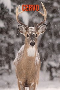 Cervo