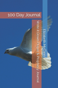 Write it Down Prayer & Prophecy Journal