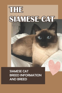 Siamese Cat
