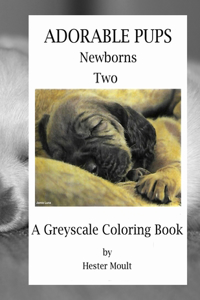 Adorable Pups - Newborns 2