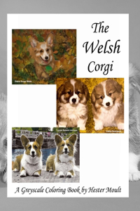 The Welsh Corgi