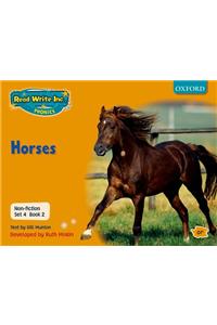 Read Write Inc. Phonics: RWI Non-Fiction Set 4 (Orange): Horses - Book 2