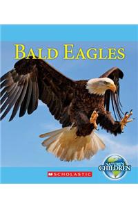 Bald Eagles