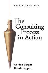 The Consulting Process in Action