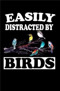Easily Distracted By Birds