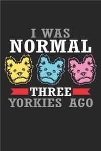 I was Normal three Yorkies ago