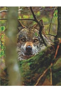 Wolf in Woods Journal