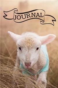 Journal