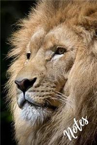 Lion Notebook