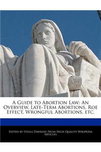 A Guide to Abortion Law