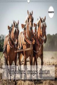 Agriculture, Images D'antan 2017