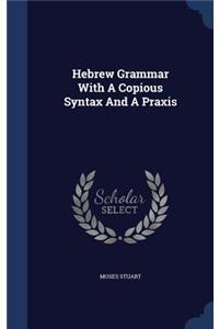 Hebrew Grammar With A Copious Syntax And A Praxis