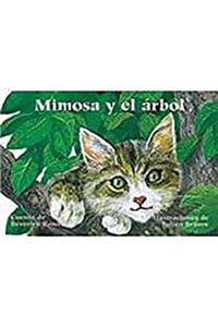 Mimosa Y El Arbol (Tabby in the Tree)
