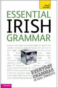 Teach Yourself Essential Irish Grammar