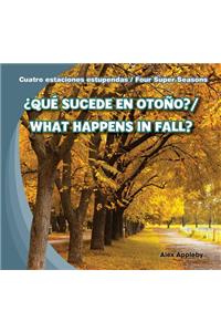 ¿Qué Sucede En Otoño? / What Happens in Fall?