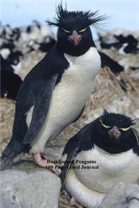 Rockhopper Penguins 100 Page Lined Journal