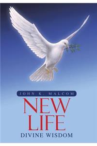 Divine Wisdom