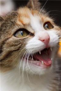 Mind Blowing Meowing Cat Journal