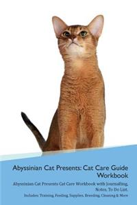 Abyssinian Cat Presents