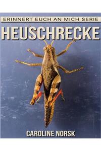 Heuschrecke