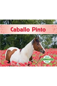 Caballo Pinto (American Paint Horses) (Spanish Version)