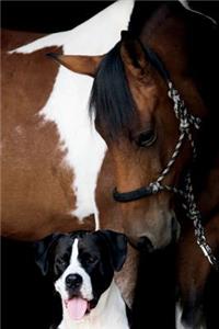 Horse and Dog Journal