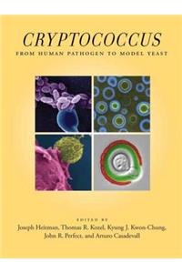 Cryptococcus